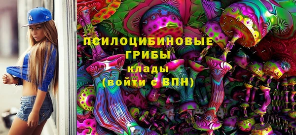 мдпв Вязники